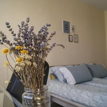 By The Cathedral - Center - 2 Bedroom Flat Warna